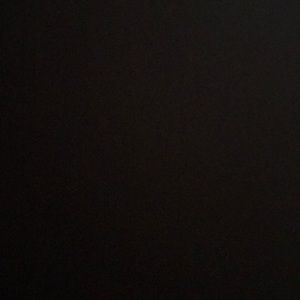 Meet your Posher, Shanel